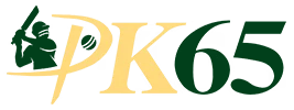 pk65gamedownload.com Logo